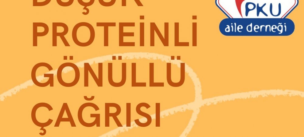 DP Bülten Gönüllü Takımı Başvurusu Görseli