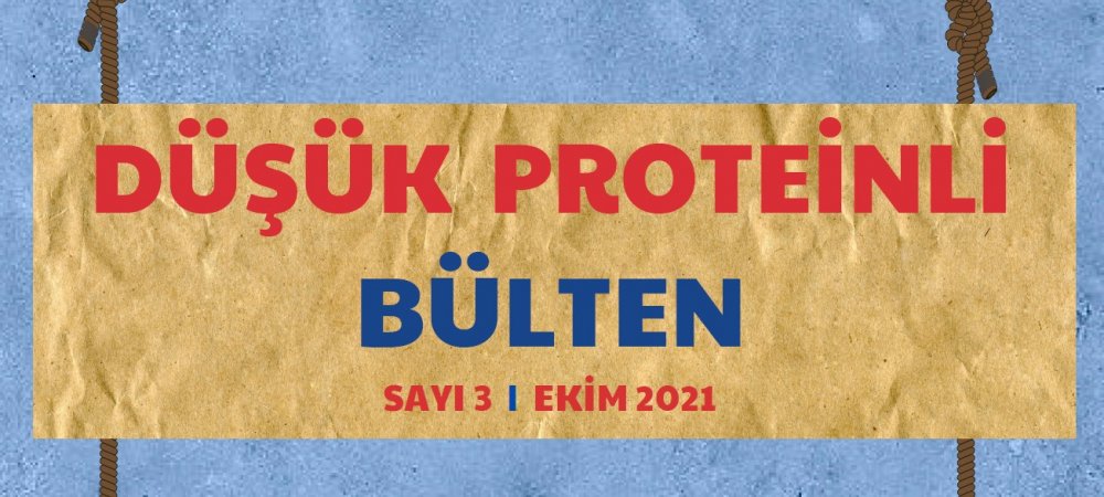 Düşük Proteinli Bülten - Sayı 3 - Ekim 2021 Görseli